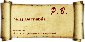 Pály Barnabás névjegykártya